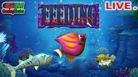 feeding frenzy online game|fishing frenzy free play.